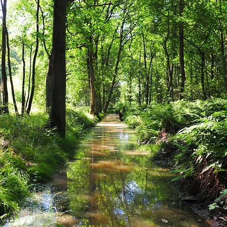 De Hilkensberg