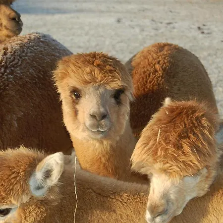 De Hilkensberg Hotel *