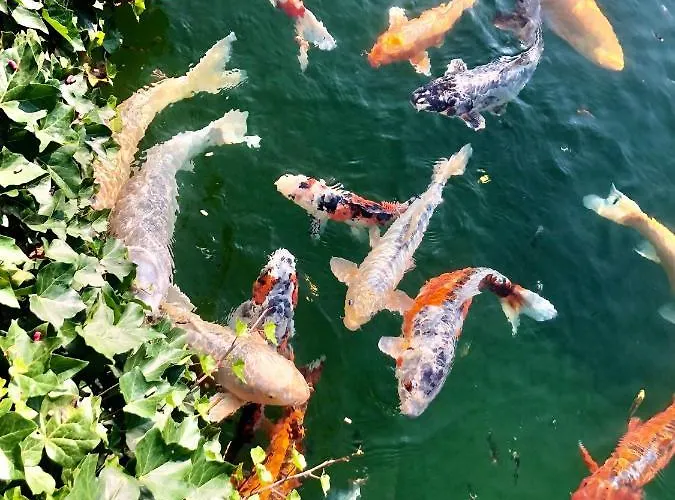 De Hilkensberg Hotel Broekhuizen (Limburg)