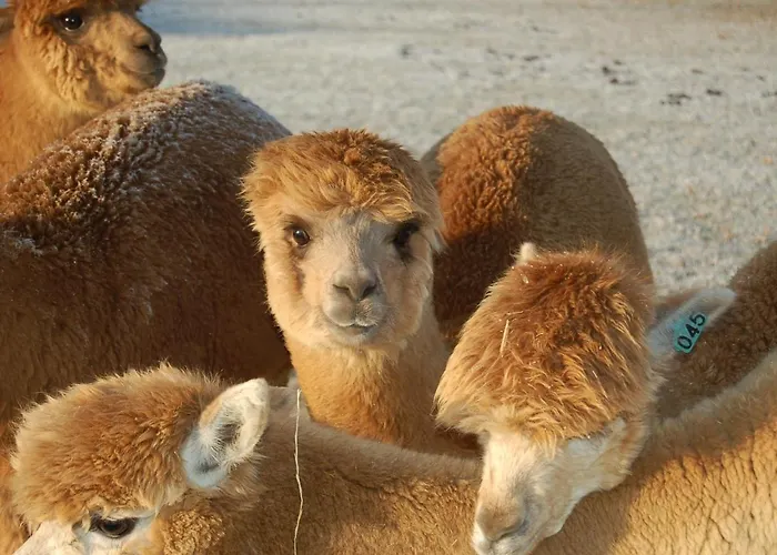 De Hilkensberg Hotel *