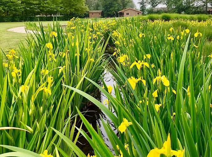 Hotel De Hilkensberg *